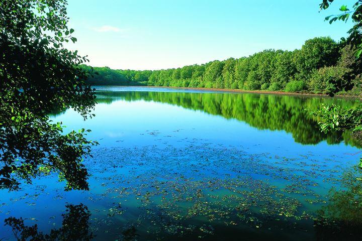 Grands lacs de la forêt d’Orient